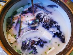 -全乐鱼馆·淳牌有机鱼直营店