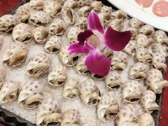 盐焗花螺-津菜宋记老房子(鼓楼店)