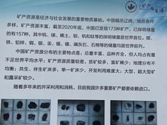 -中国地质博物馆
