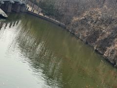 -横山寺