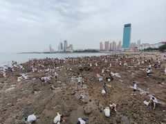 -青岛第一海水浴场