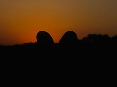 -艾溪湖湿地公园