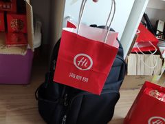 -海底捞火锅(九霄梦天地店)