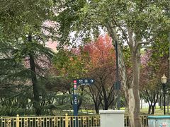 -陕西自然博物馆