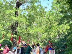 -大槐树寻根祭祖园