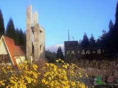 -武陵山森林公园