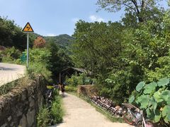 -远山有窑
