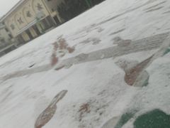 -上海市位育初级中学