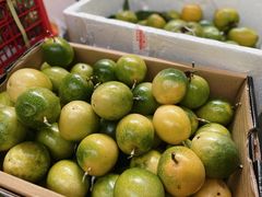 -三亚新鸿港水果一级批发市场