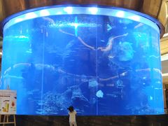 -佛山希尔顿酒店·融誉亚洲美食荟