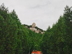 -蒙山大佛景区