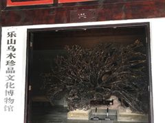 -乐山乌木文化博览苑