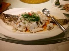 桂花鱼-梓程海鲜大酒家