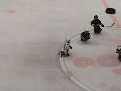 -陈露国际冰上中心(天津嘉里汇店)