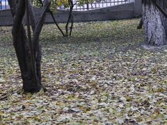 -辽宁大学(崇山校区)