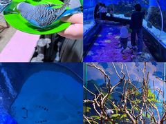 -顺德南宏海立方海洋公园
