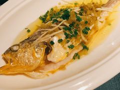 小黄鱼仔-三利音·玖弄小鲜(浦东嘉里城店)