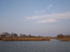 -盐城丹顶鹤湿地生态旅游区