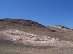 -新疆天山野生动物园