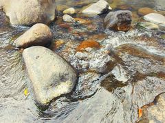 -海南热带雨林国家公园吊罗山景区