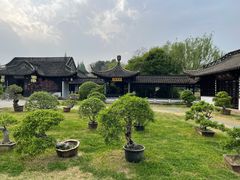 -扬州大运河文化旅游度假区·盆景园