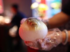 -肆月河豚·新淮扬菜·烤鸭(中关村店)