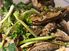 椒盐小溪鱼-丰乐餐厅·始于1999·本地老字号