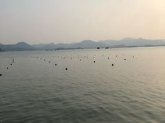 -杭州君悦酒店