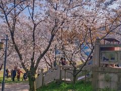 -苏州上方山国家森林公园