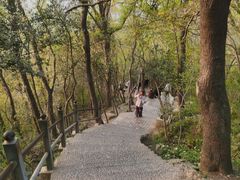 -紫金山山顶公园