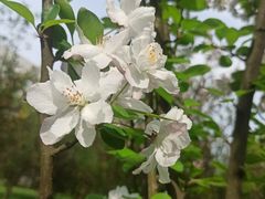 -成都中医药大学(温江校区)