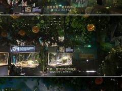 -顺德南宏海立方海洋公园