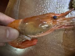 -阳澄湖大闸蟹·琼灵阁牌品牌连锁(吴中总店)