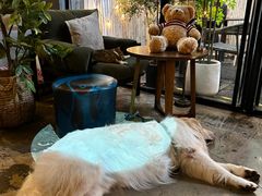 -咖法森林·咖啡  酒吧(天河店)