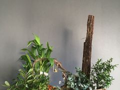 -荷兰布尔玛国际花艺学院
