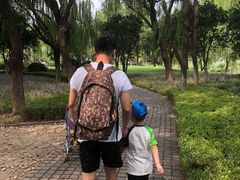 -昆山城市生态森林公园