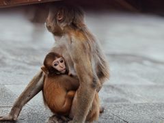 -重庆云阳龙缸景区
