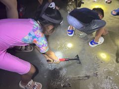 -红树林天天赶海