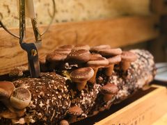 -大头椰·椰子鸡火锅(南宁万象城店)