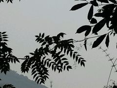 -华蓥山天意谷景区