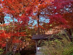 -三千院