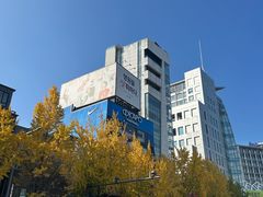 -东大门市场