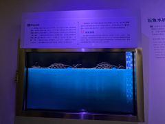 -白鹤梁水下博物馆