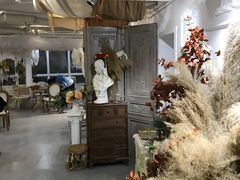 -共舞时光猫咖·狗咖(新街口店)
