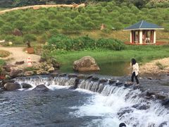 -广州市石门国家森林公园