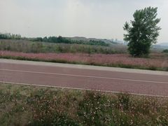 -白鹭湾湿地公园