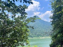 -羚羊峡古栈道森林公园