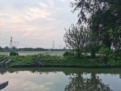 -嘉北郊野公园