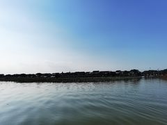 -莲花岛景区