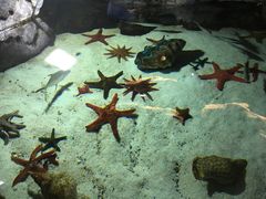 -福州罗源湾海洋世界旅游区